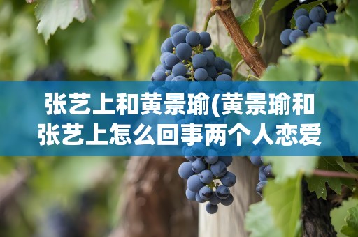 张艺上和黄景瑜(黄景瑜和张艺上怎么回事两个人恋爱是电视剧中)