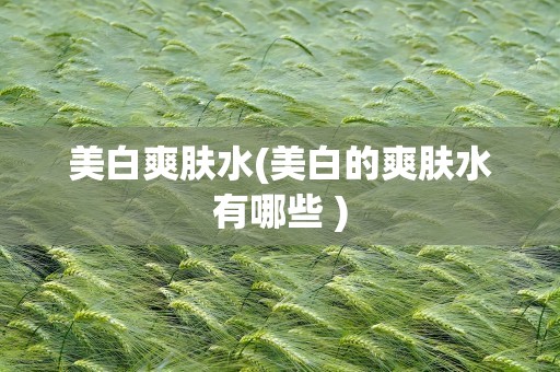 美白爽肤水(美白的爽肤水有哪些 )