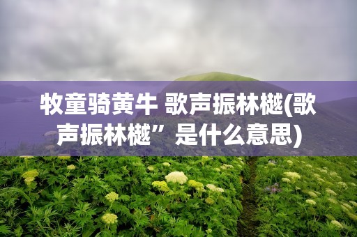 牧童骑黄牛 歌声振林樾(歌声振林樾”是什么意思)