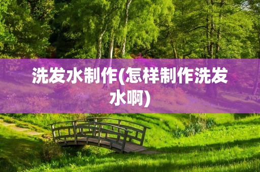 洗发水制作(怎样制作洗发水啊)