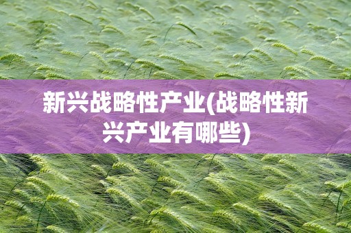 新兴战略性产业(战略性新兴产业有哪些)