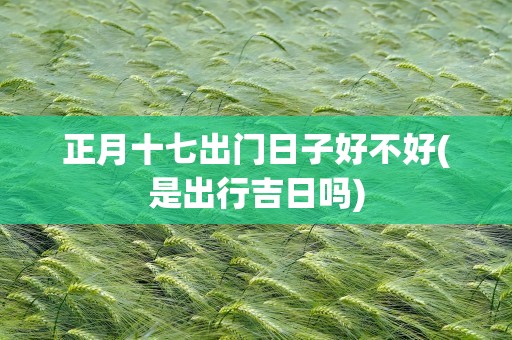 正月十七出门日子好不好(是出行吉日吗)