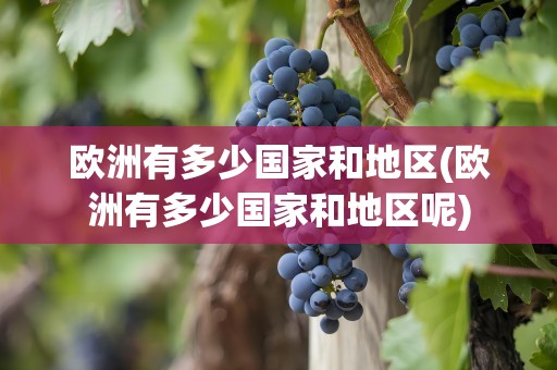 欧洲有多少国家和地区(欧洲有多少国家和地区呢)