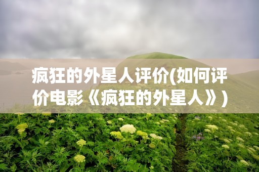 疯狂的外星人评价(如何评价电影《疯狂的外星人》)