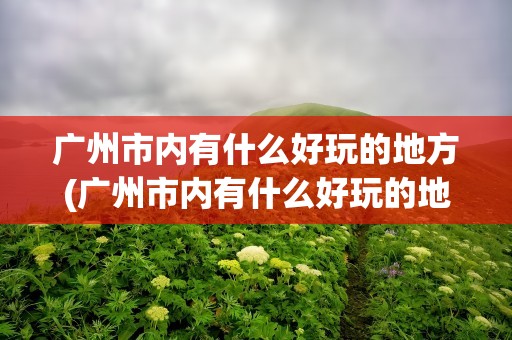 广州市内有什么好玩的地方(广州市内有什么好玩的地方吗)
