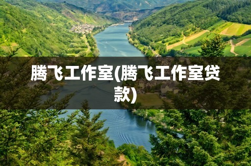 腾飞工作室(腾飞工作室贷款)