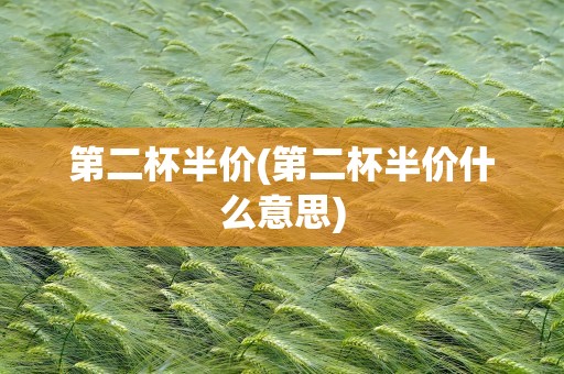 第二杯半价(第二杯半价什么意思)