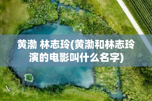 黄渤 林志玲(黄渤和林志玲演的电影叫什么名字)
