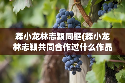 释小龙林志颖同框(释小龙林志颖共同合作过什么作品)