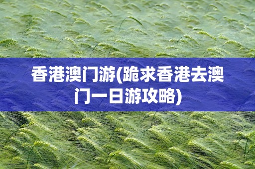 香港澳门游(跪求香港去澳门一日游攻略)