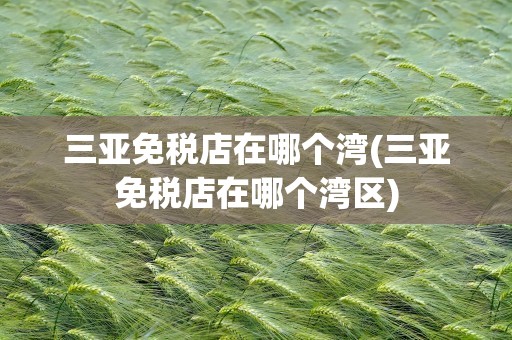 三亚免税店在哪个湾(三亚免税店在哪个湾区)