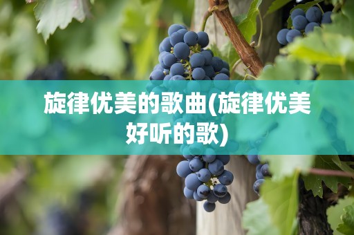 旋律优美的歌曲(旋律优美好听的歌)