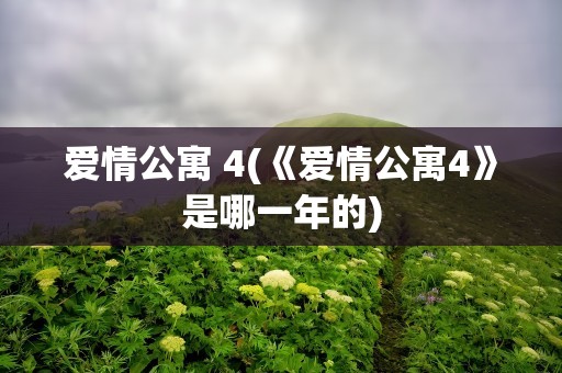 爱情公寓 4(《爱情公寓4》是哪一年的)