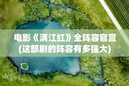 电影《满江红》全阵容官宣(这部剧的阵容有多强大)