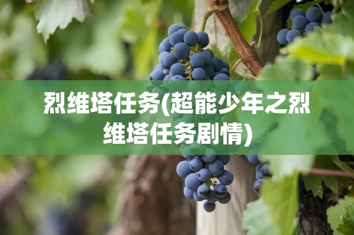 烈维塔任务(超能少年之烈维塔任务剧情)