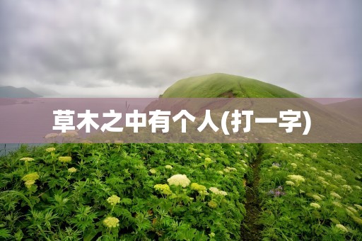 草木之中有个人(打一字)