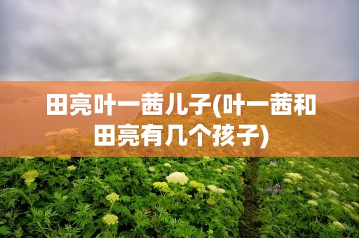 田亮叶一茜儿子(叶一茜和田亮有几个孩子)