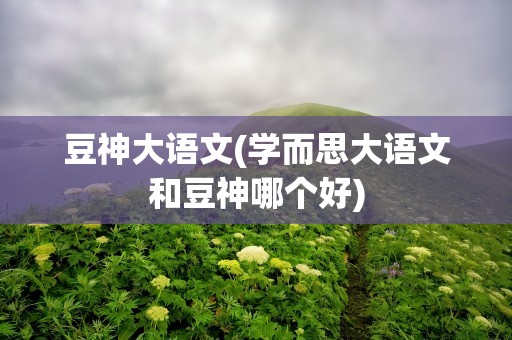 豆神大语文(学而思大语文和豆神哪个好)