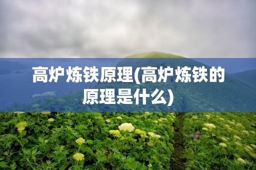 高炉炼铁原理(高炉炼铁的原理是什么)