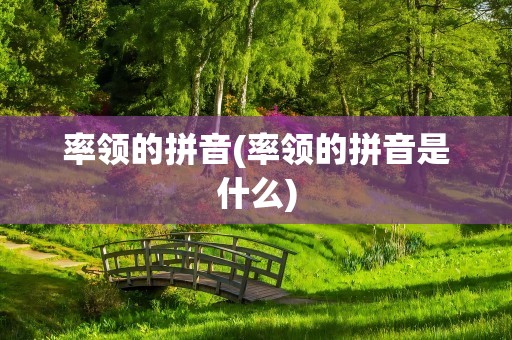率领的拼音(率领的拼音是什么)