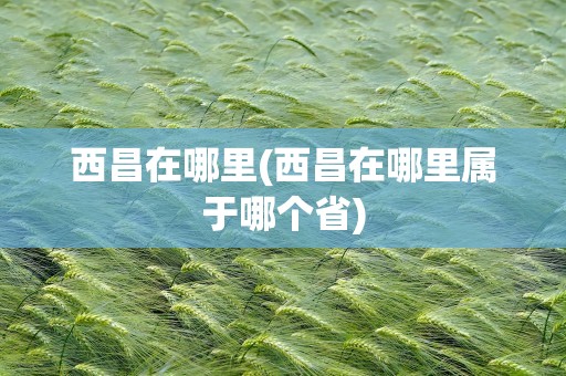 西昌在哪里(西昌在哪里属于哪个省)