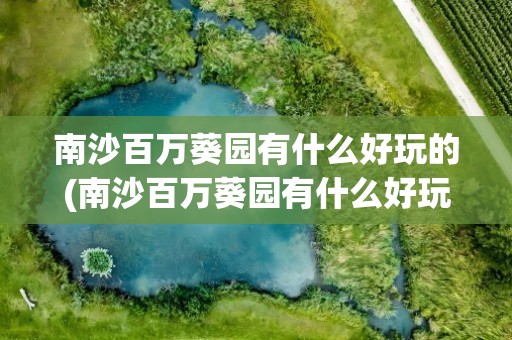 南沙百万葵园有什么好玩的(南沙百万葵园有什么好玩的地方)