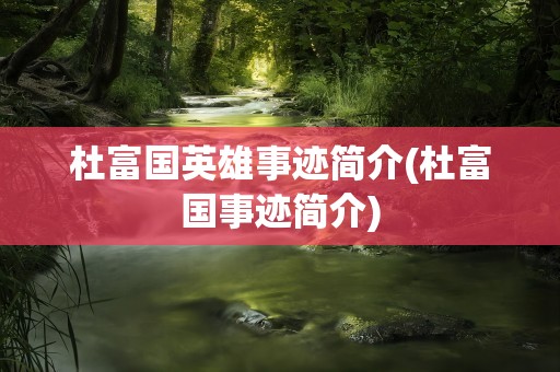 杜富国英雄事迹简介(杜富国事迹简介)