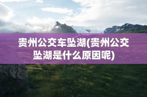 贵州公交车坠湖(贵州公交坠湖是什么原因呢)