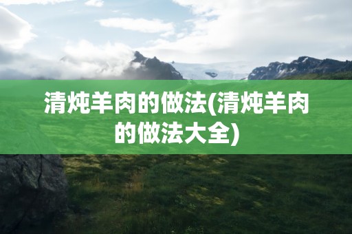 清炖羊肉的做法(清炖羊肉的做法大全)