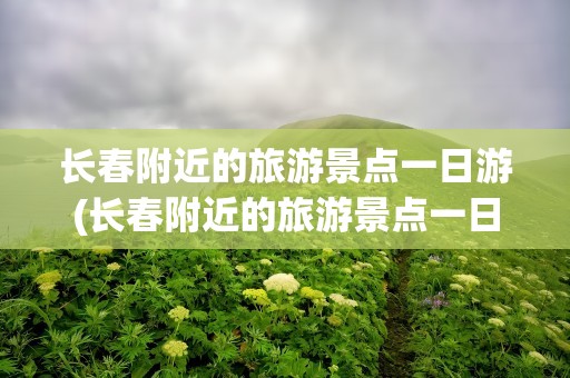 长春附近的旅游景点一日游(长春附近的旅游景点一日游多少钱)