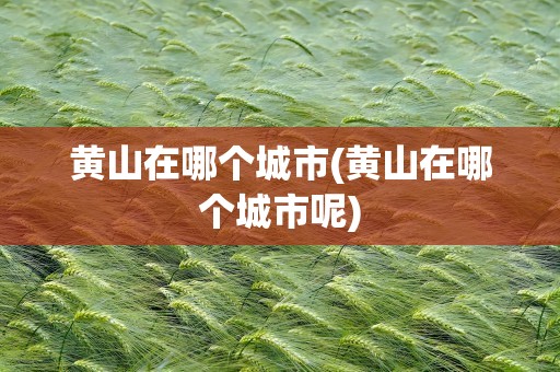 黄山在哪个城市(黄山在哪个城市呢)