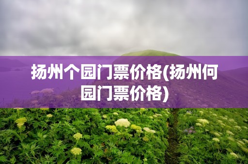 扬州个园门票价格(扬州何园门票价格)