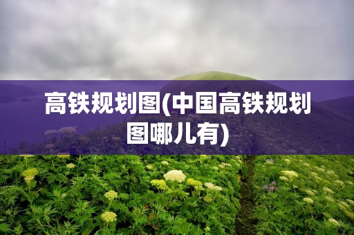 高铁规划图(中国高铁规划图哪儿有)