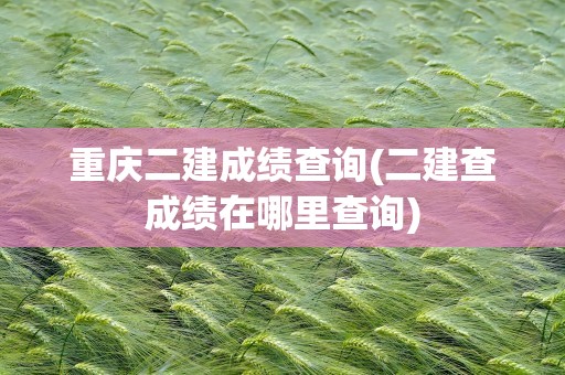 重庆二建成绩查询(二建查成绩在哪里查询)