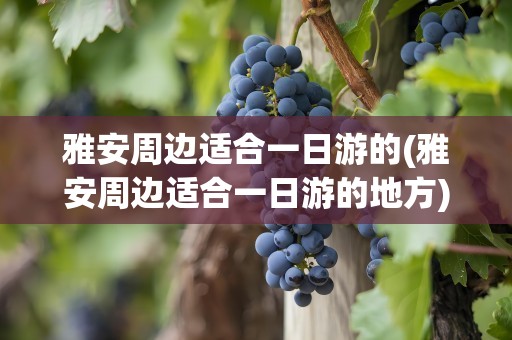 雅安周边适合一日游的(雅安周边适合一日游的地方)