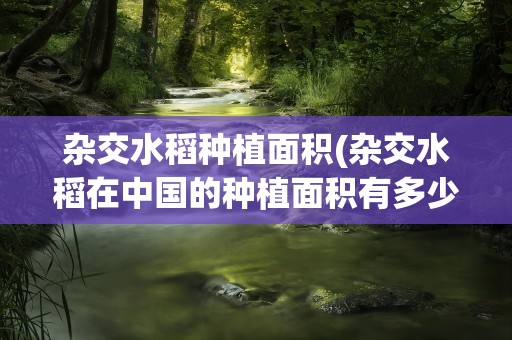 杂交水稻种植面积(杂交水稻在中国的种植面积有多少)