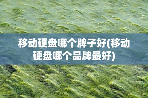 移动硬盘哪个牌子好(移动硬盘哪个品牌最好)