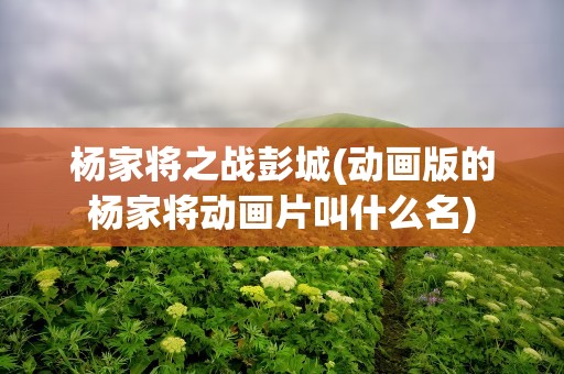杨家将之战彭城(动画版的杨家将动画片叫什么名)