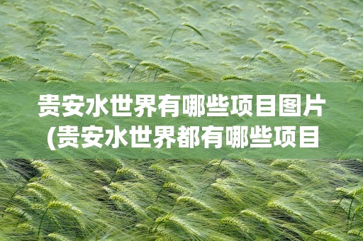 贵安水世界有哪些项目图片(贵安水世界都有哪些项目)