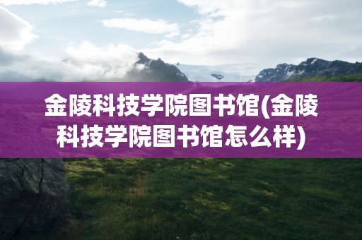金陵科技学院图书馆(金陵科技学院图书馆怎么样)