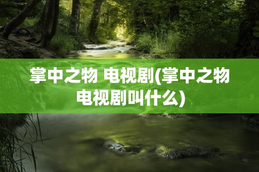 掌中之物 电视剧(掌中之物电视剧叫什么)
