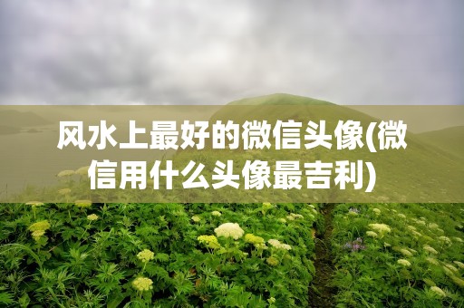风水上最好的微信头像(微信用什么头像最吉利)