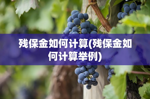 残保金如何计算(残保金如何计算举例)