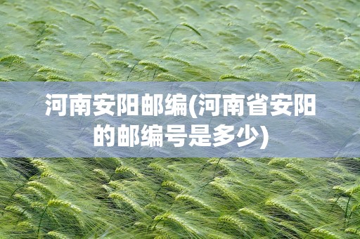 河南安阳邮编(河南省安阳的邮编号是多少)