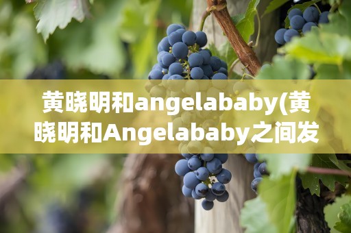 黄晓明和angelababy(黄晓明和Angelababy之间发生了什么)