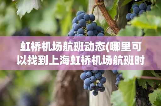 虹桥机场航班动态(哪里可以找到上海虹桥机场航班时刻表)