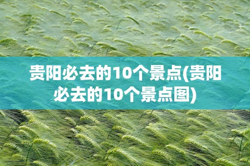 贵阳必去的10个景点(贵阳必去的10个景点图)