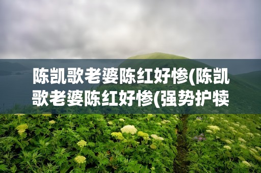 陈凯歌老婆陈红好惨(陈凯歌老婆陈红好惨(强势护犊子的陈红有多辣))