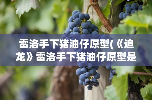 雷洛手下猪油仔原型(《追龙》雷洛手下猪油仔原型是)