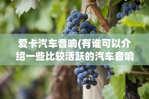爱卡汽车音响(有谁可以介绍一些比较活跃的汽车音响改装论坛谢谢)